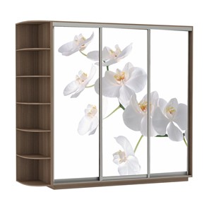 Шкаф 3-створчатый Экспресс со стеллажом, 2100х600х2200, Орхидея белая/шимо темный в Великом Новгороде