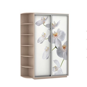 Шкаф 2-дверный Экспресс 1700x600x2200, со стеллажом, Орхидея белая/дуб молочный в Великом Новгороде