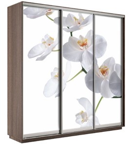 Шкаф трехдверный Экспресс 2100х600х2200, Орхидея белая/шимо темный в Великом Новгороде