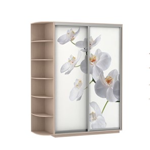 Шкаф Экспресс 1900x600x2200, со стеллажом, Орхидея белая/дуб молочный в Великом Новгороде
