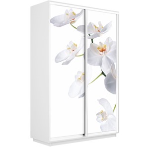 Шкаф Экспресс 1600x450x2400, Орхидея белая/белый снег в Великом Новгороде