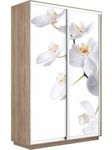 Шкаф 2-створчатый Экспресс 1600x450x2400, Орхидея белая/дуб сонома в Великом Новгороде