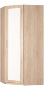 Распашной шкаф угловой Реал (YR-230х1034 (3)-М Вар.4), с зеркалом в Великом Новгороде - предосмотр