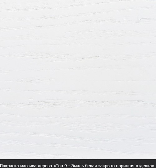 Стол раздвижной Фабрицио-1 исп. Мини 1100, Тон 12 (Морилка/Эмаль) в Великом Новгороде - изображение 15