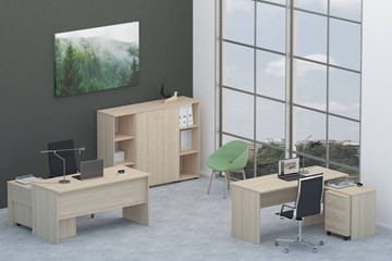 Офисный комплект мебели Twin для 2 сотрудников со шкафом для документов в Великом Новгороде - предосмотр