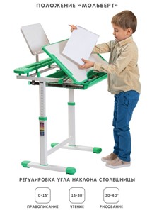 Растущая парта и растущий стул SET HOLTO-17А, зеленый в Великом Новгороде - предосмотр 2